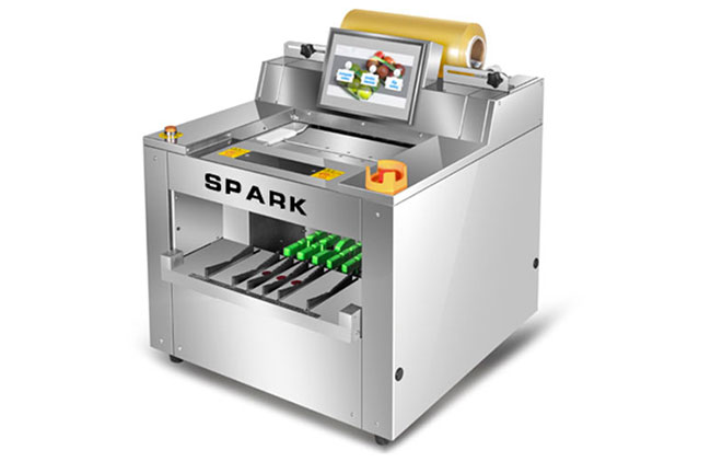 蔬菜保鮮包裝機(jī)展示